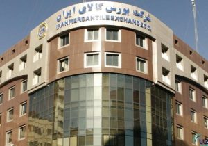 پتروشیمی تندگویان با عرضه ۲۰۰ تنی وارد تالار فرعی بورس کالا شد؛ قیمت پایه در ۷ مرداد ۱۴۰۵ اعلام شد